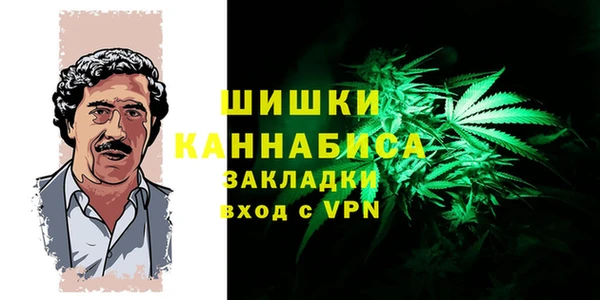 PSILOCYBIN Лабытнанги