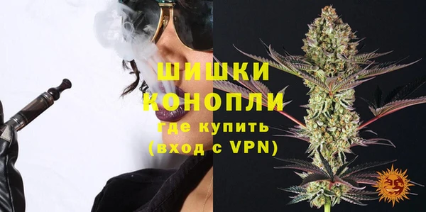 дживик Кулебаки